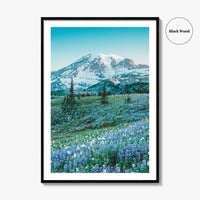 Mount Rainier National Park Fine Art Photo Print, Washington State, Mazama Ridge, Wildflowers
