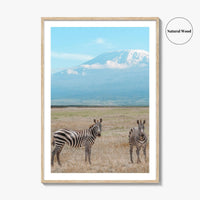 Mount Kilimanjaro Fine Art Photo Print, Zebra, Tanzania Poster, Amboseli National Park