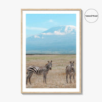 Mount Kilimanjaro Fine Art Photo Print, Zebra, Tanzania Poster, Amboseli National Park