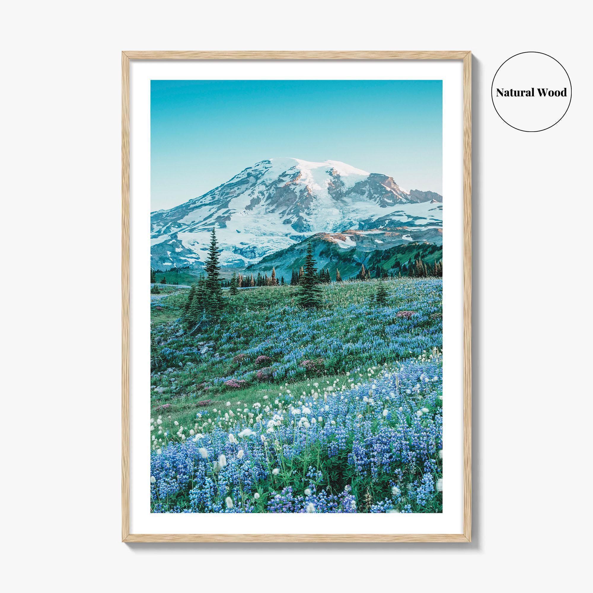 Mount Rainier National Park Fine Art Photo Print, Washington State, Mazama Ridge, Wildflowers