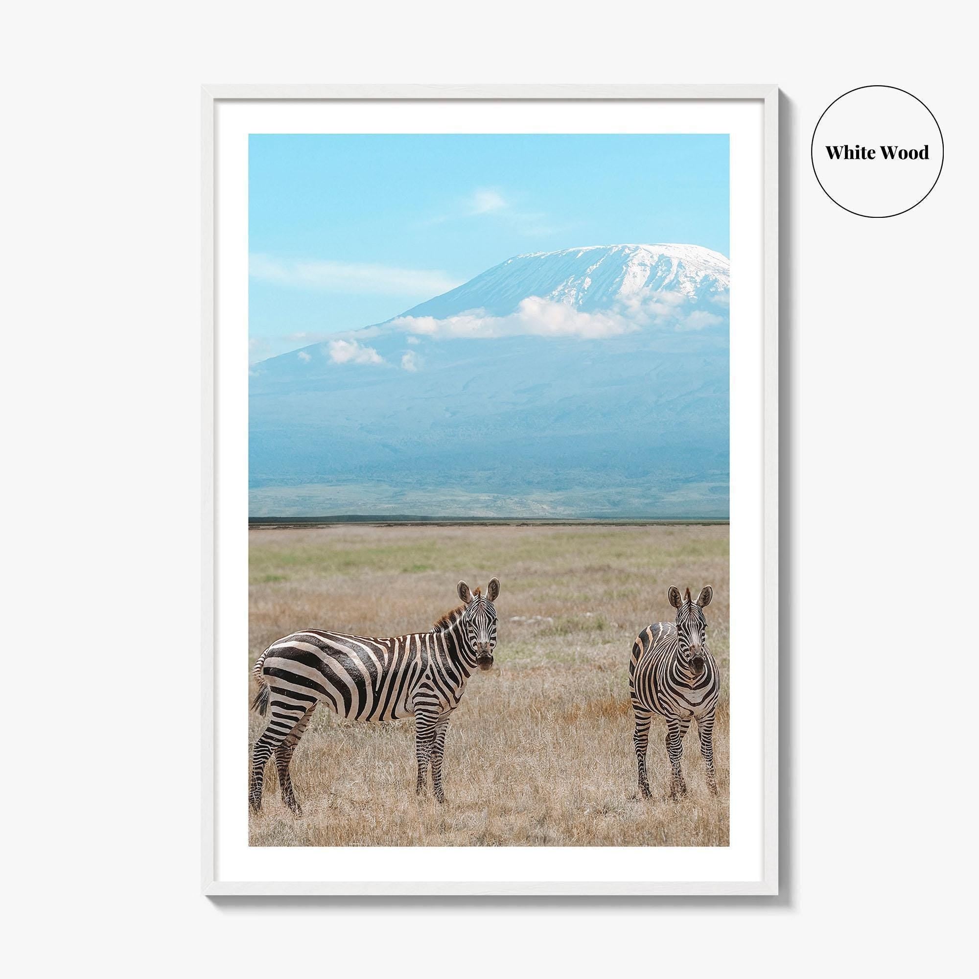 Mount Kilimanjaro Fine Art Photo Print, Zebra, Tanzania Poster, Amboseli National Park