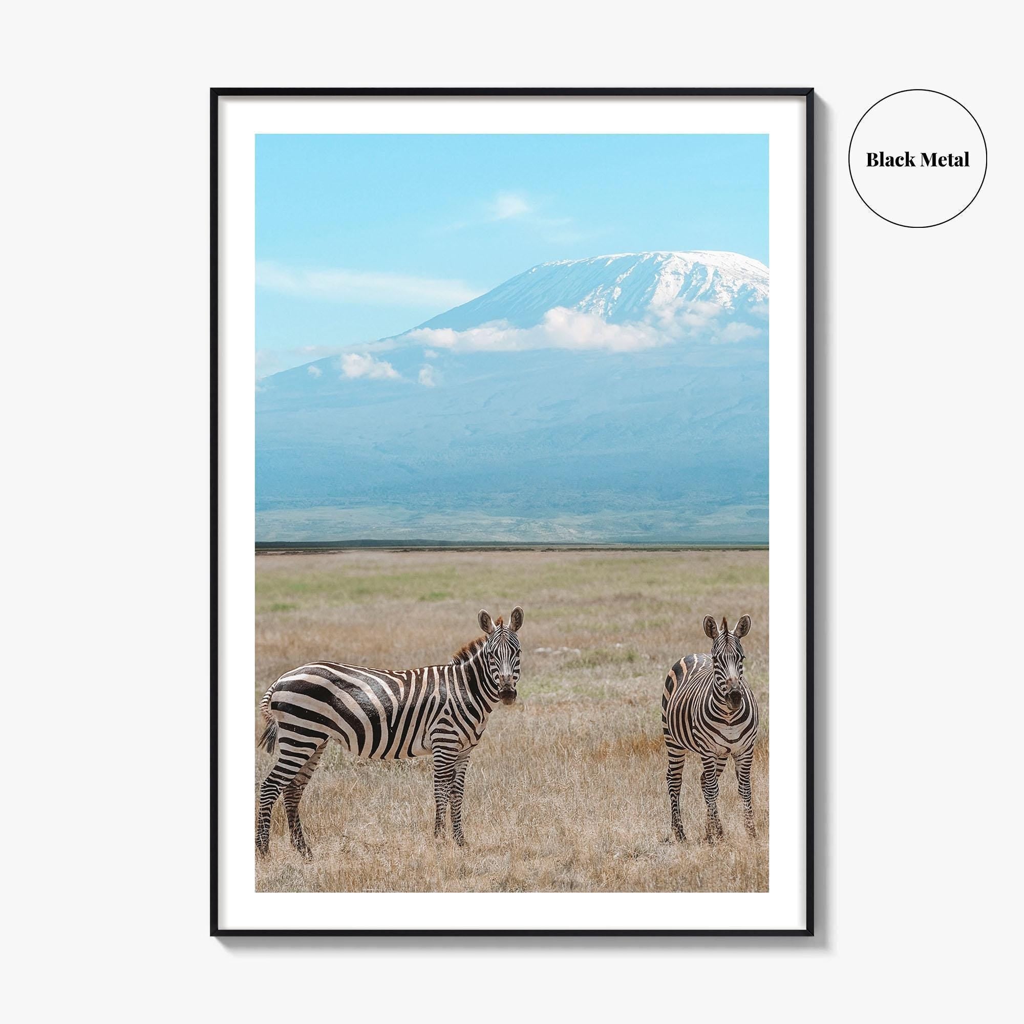 Mount Kilimanjaro Fine Art Photo Print, Zebra, Tanzania Poster, Amboseli National Park