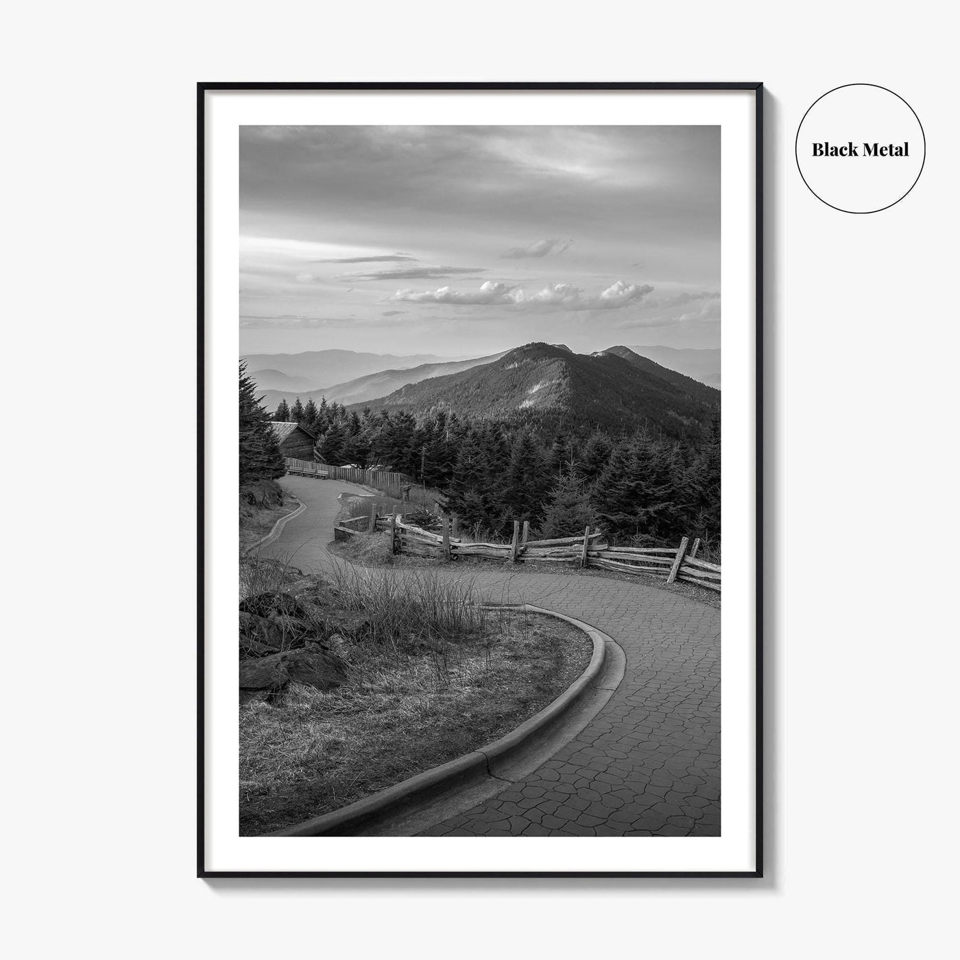Mount Mitchell Black and White Fine Art Photo Print, Blue Ridge Mountains Poster