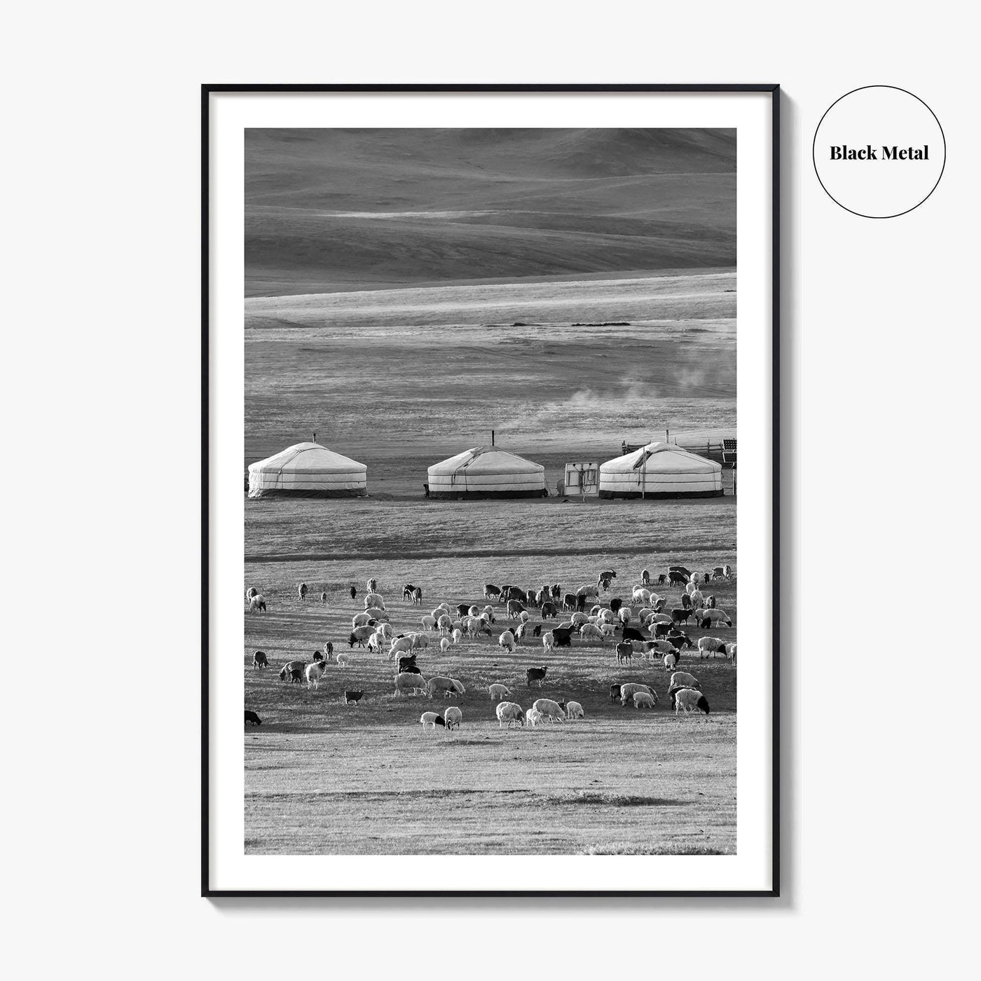 Mongolia Black and White Fine Art Photo Print, Ger Yurt, Goat Herd, Steppe Poster