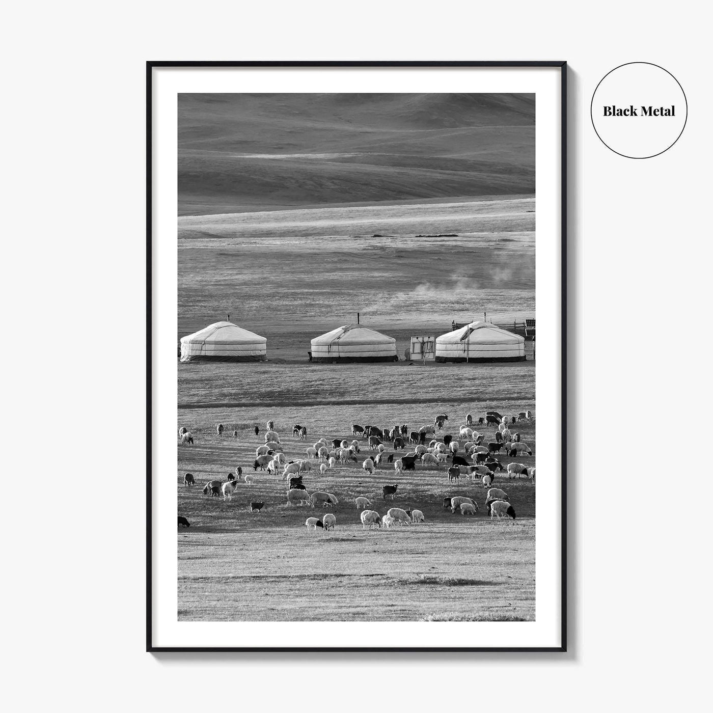 Mongolia Black and White Fine Art Photo Print, Ger Yurt, Goat Herd, Steppe Poster