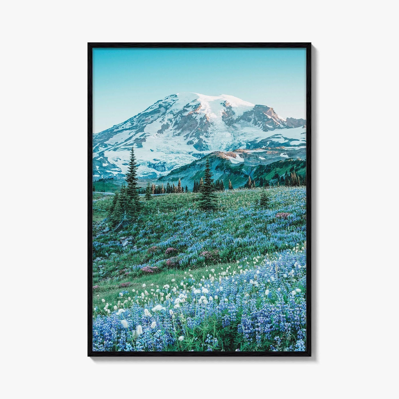 Mount Rainier National Park Fine Art Photo Print, Washington State, Mazama Ridge, Wildflowers