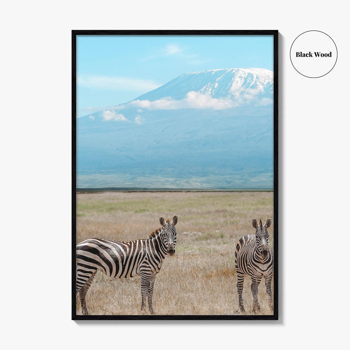 Mount Kilimanjaro Fine Art Photo Print, Zebra, Tanzania Poster, Amboseli National Park