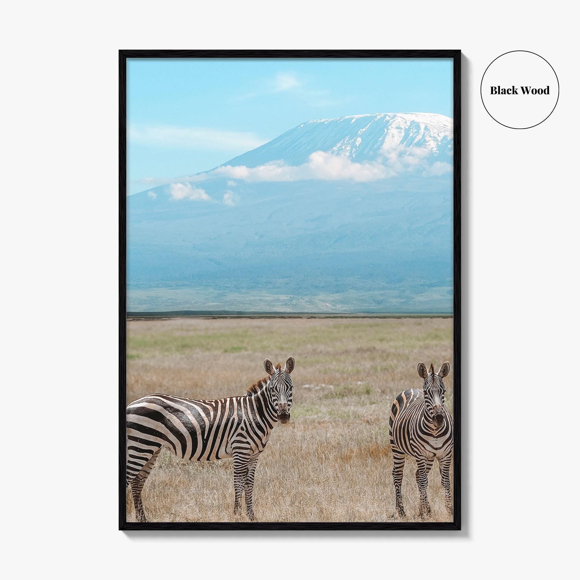 Mount Kilimanjaro Fine Art Photo Print, Zebra, Tanzania Poster, Amboseli National Park