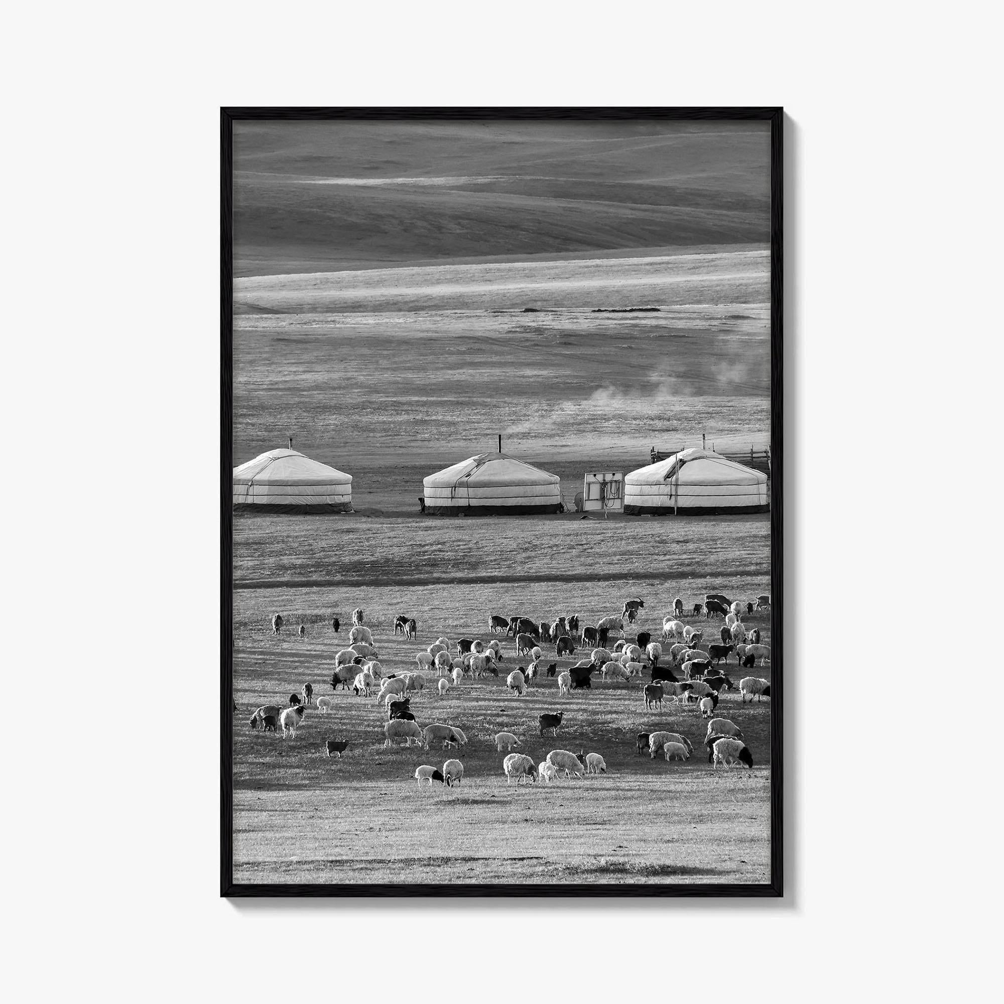 Mongolia Black and White Fine Art Photo Print, Ger Yurt, Goat Herd, Steppe Poster