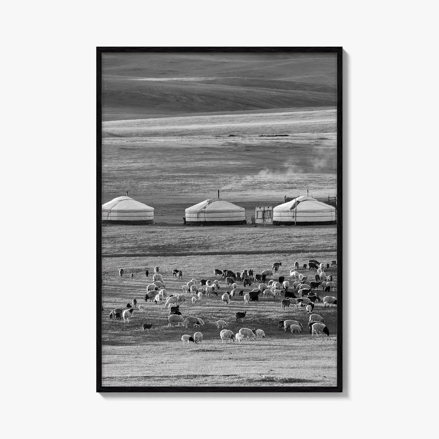 Mongolia Black and White Fine Art Photo Print, Ger Yurt, Goat Herd, Steppe Poster