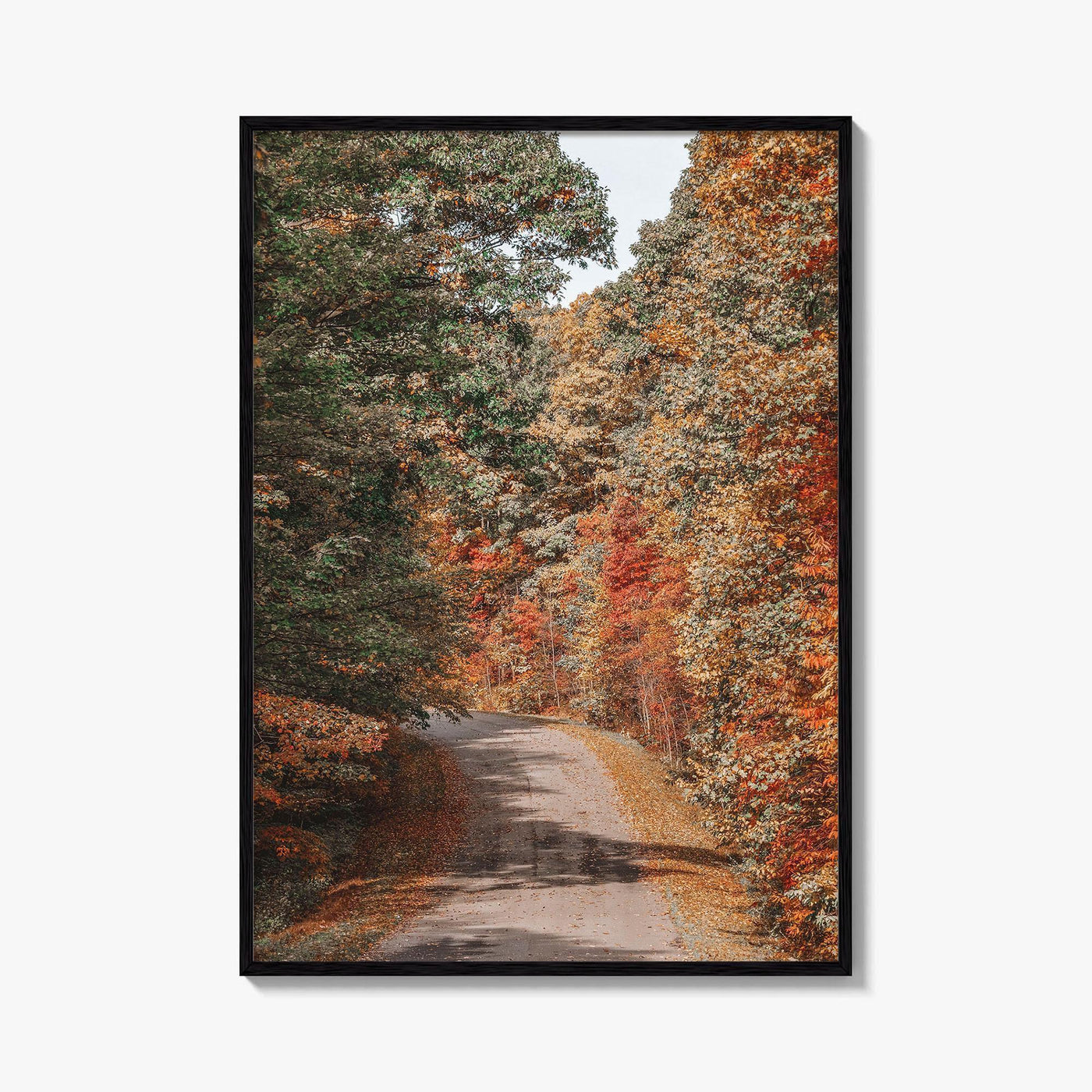 Morgantown Fine Art Photo Print, Coopers Rock State Park, Cheat Lake, WV Poster