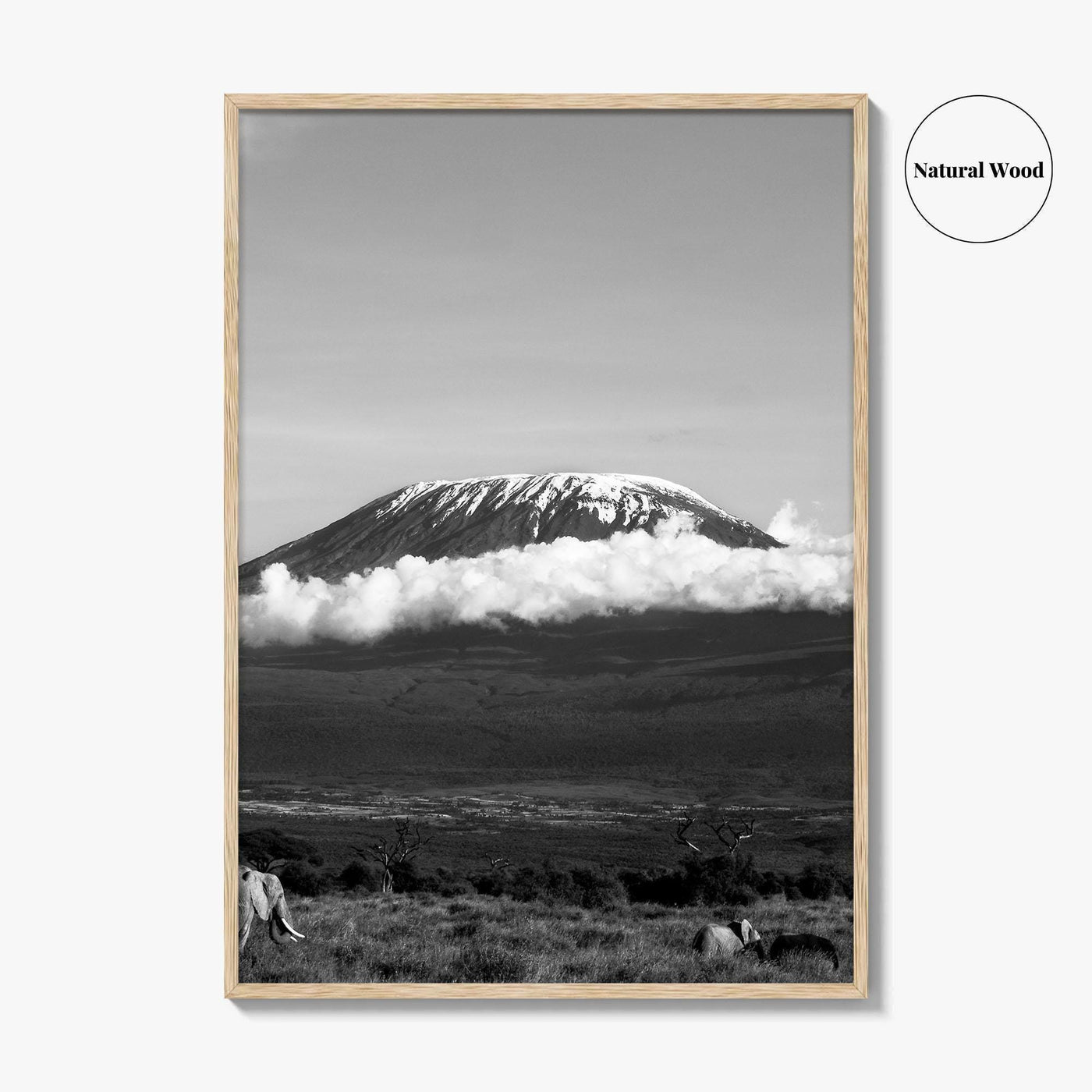 Mount Kilimanjaro Black and White Fine Art Photo Print, Tanzania Elephants Poster, Amboseli Wildlife