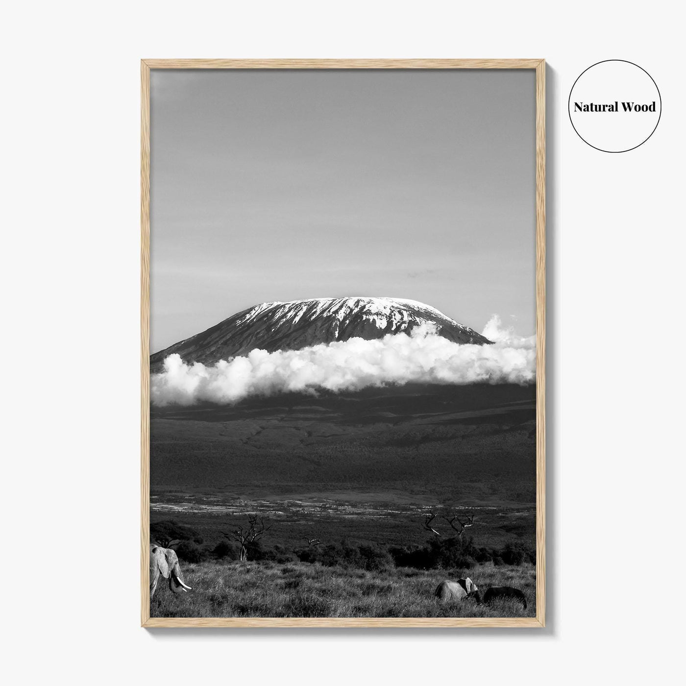 Mount Kilimanjaro Black and White Fine Art Photo Print, Tanzania Elephants Poster, Amboseli Wildlife