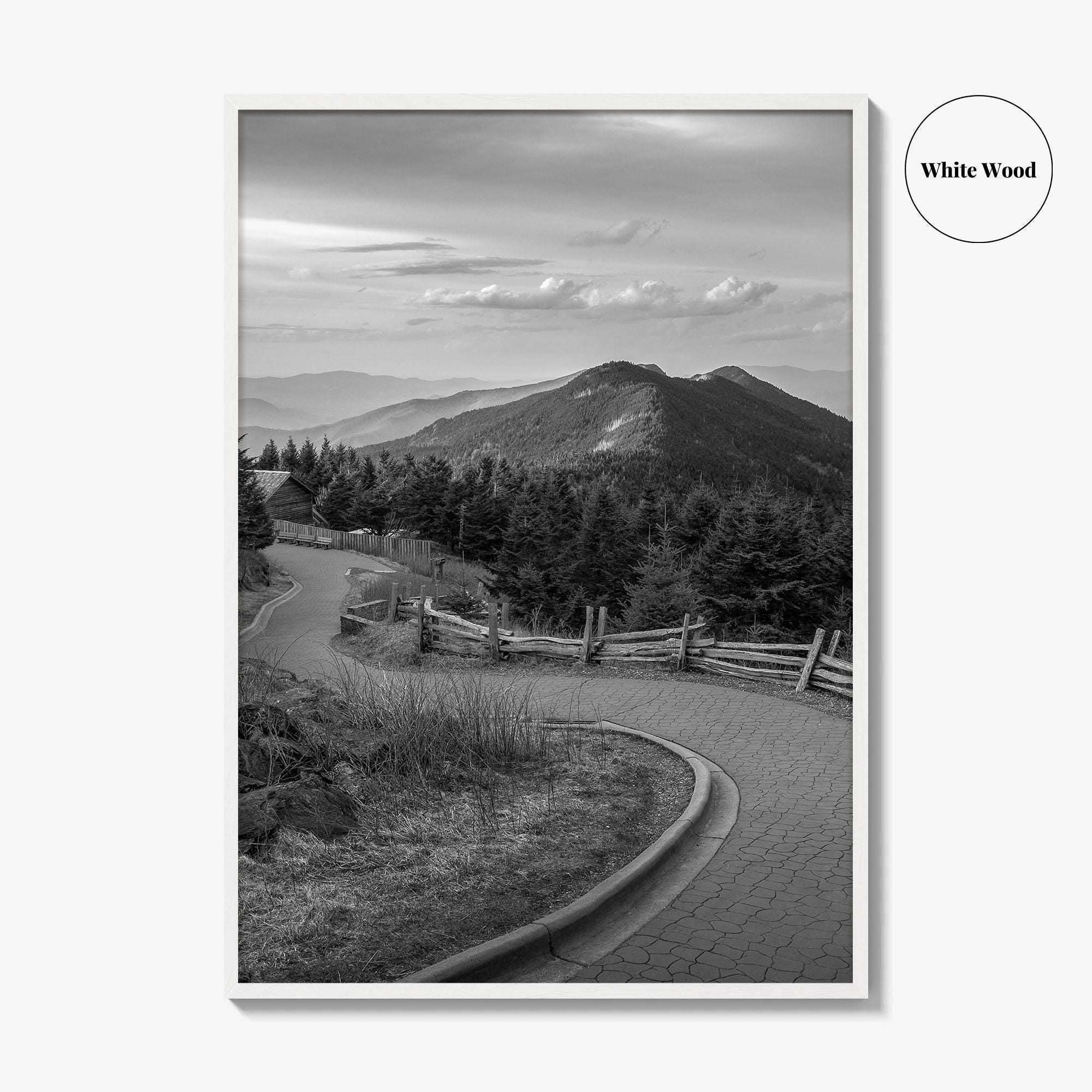 Mount Mitchell Black and White Fine Art Photo Print, Blue Ridge Mountains Poster
