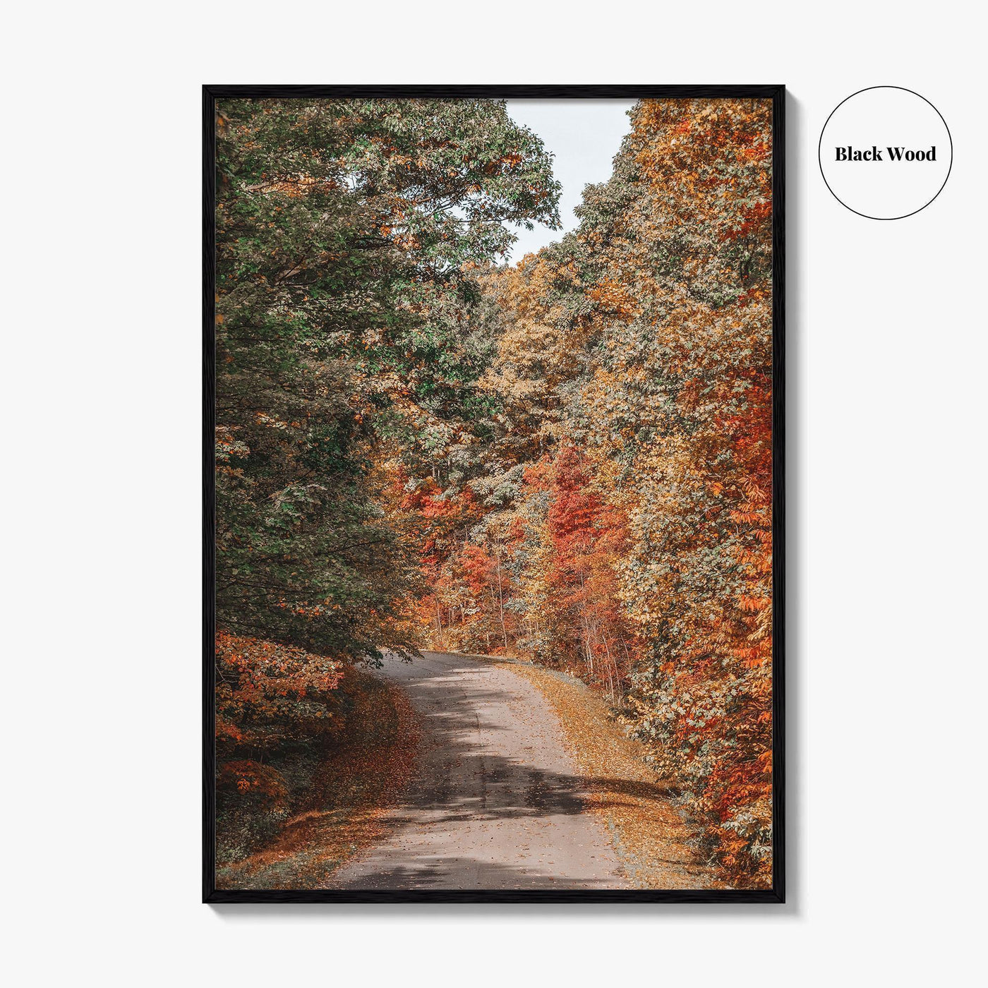 Morgantown Fine Art Photo Print, Coopers Rock State Park, Cheat Lake, WV Poster
