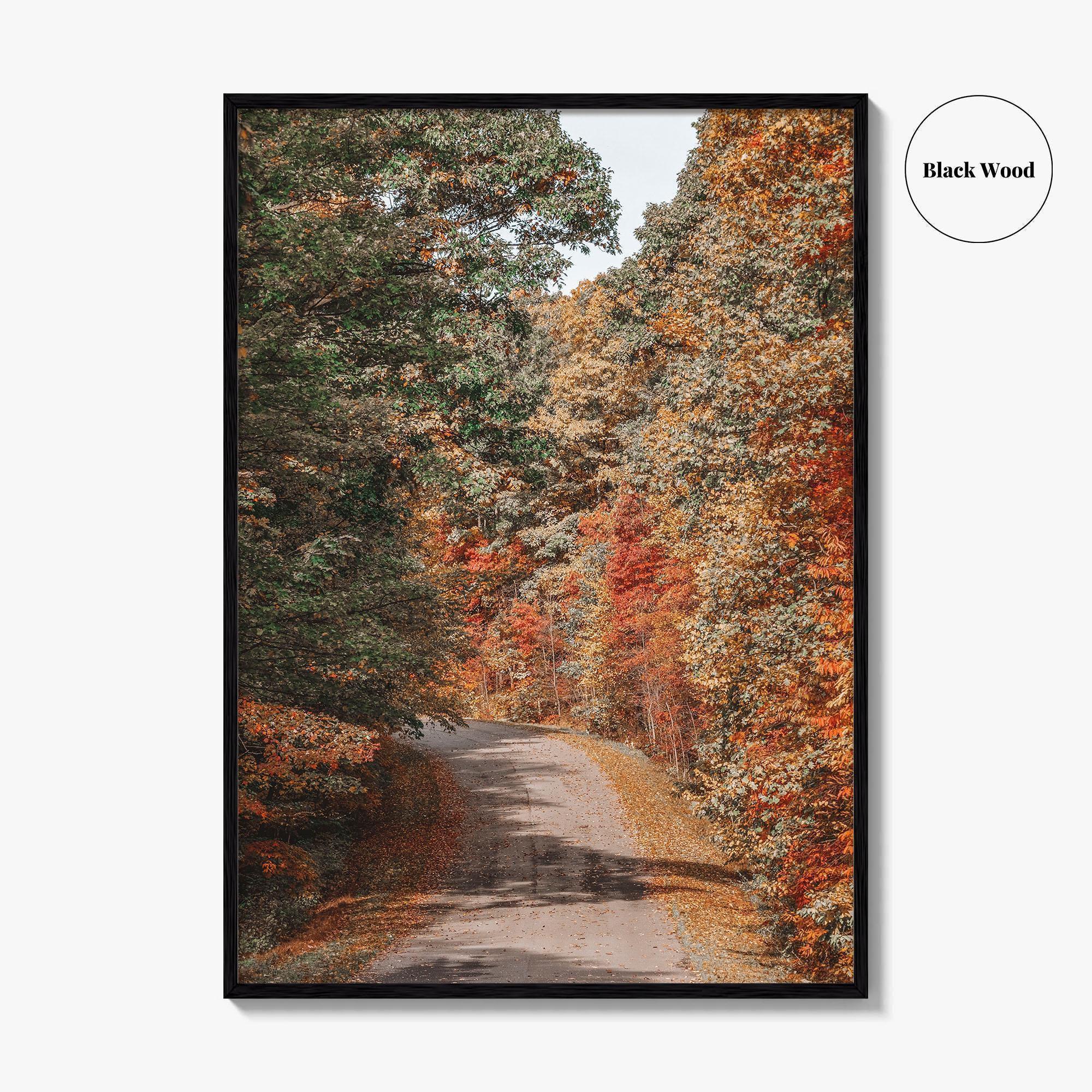 Morgantown Fine Art Photo Print, Coopers Rock State Park, Cheat Lake, WV Poster