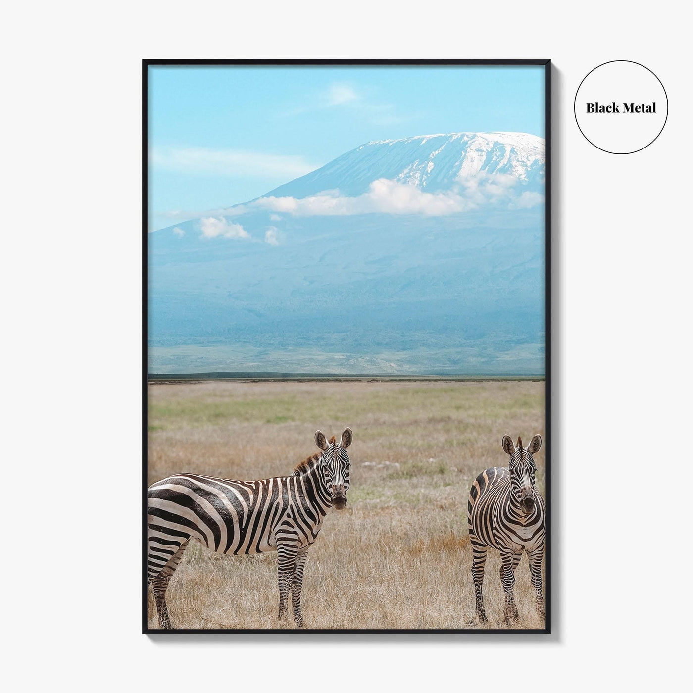 Mount Kilimanjaro Fine Art Photo Print, Zebra, Tanzania Poster, Amboseli National Park