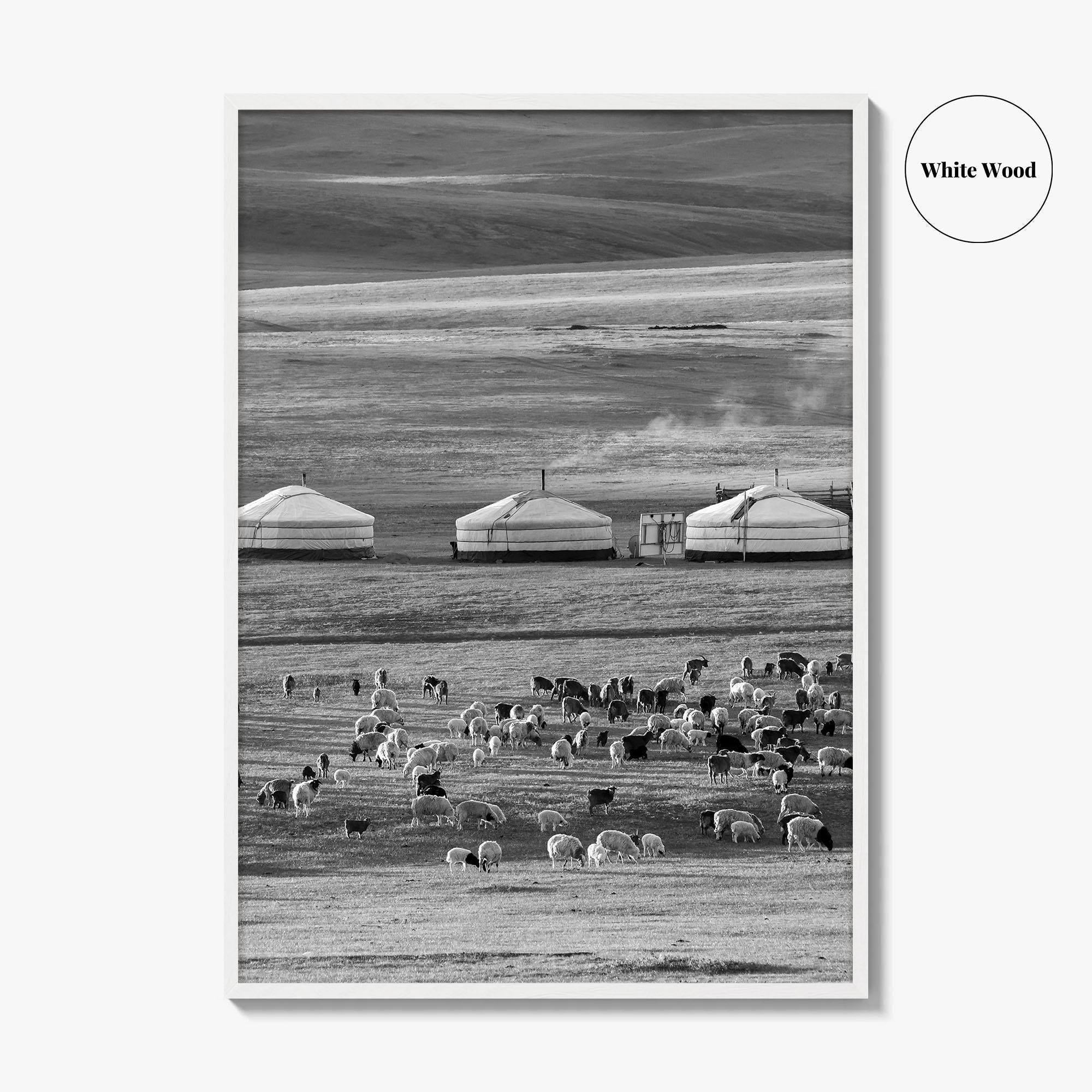 Mongolia Black and White Fine Art Photo Print, Ger Yurt, Goat Herd, Steppe Poster