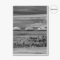 Mongolia Black and White Fine Art Photo Print, Ger Yurt, Goat Herd, Steppe Poster