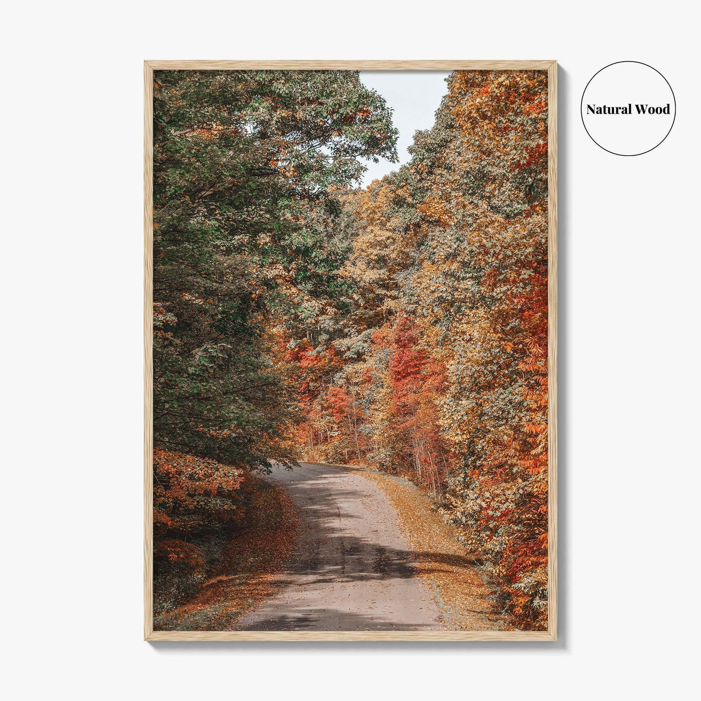 Morgantown Fine Art Photo Print, Coopers Rock State Park, Cheat Lake, WV Poster