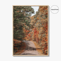 Morgantown Fine Art Photo Print, Coopers Rock State Park, Cheat Lake, WV Poster