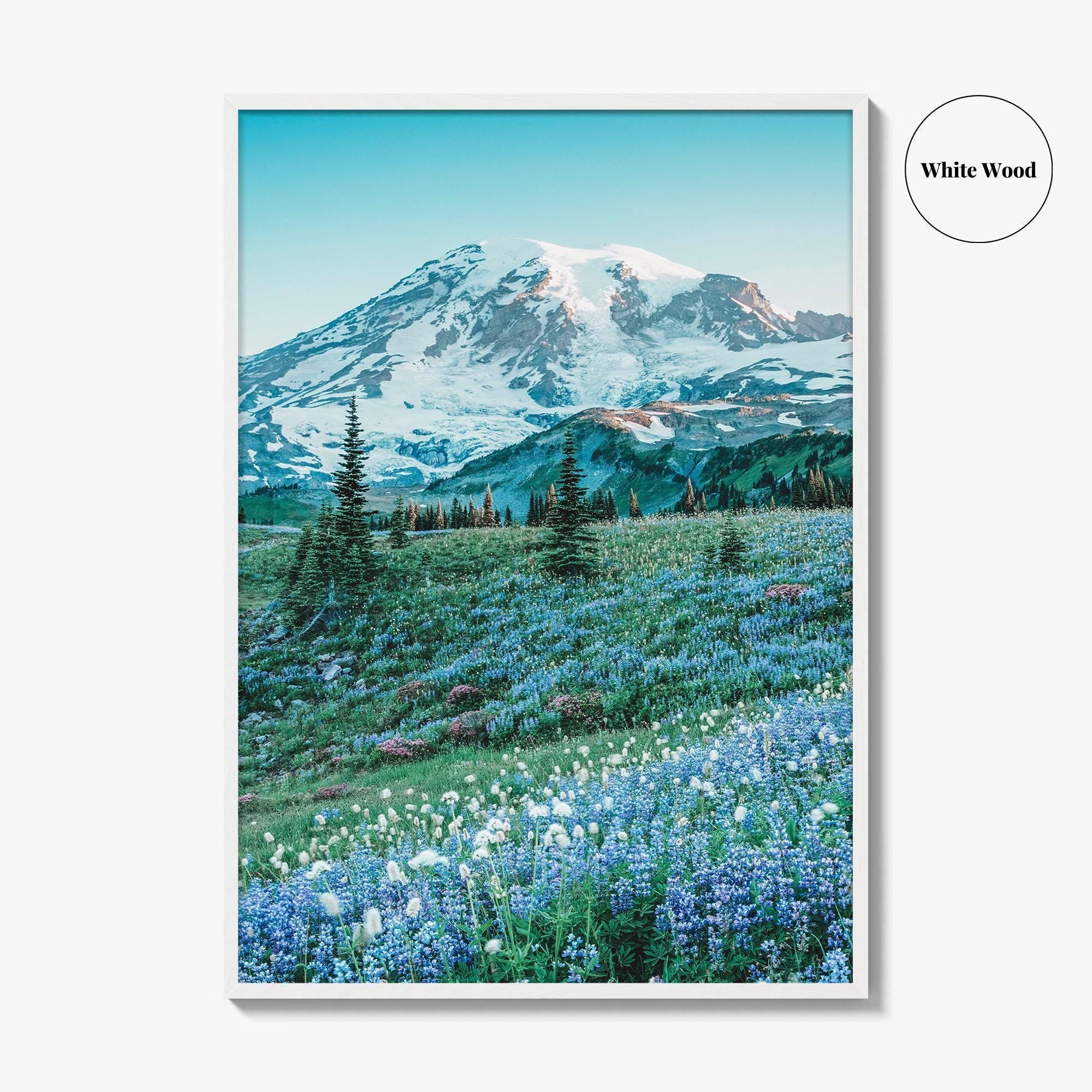 Mount Rainier National Park Fine Art Photo Print, Washington State, Mazama Ridge, Wildflowers