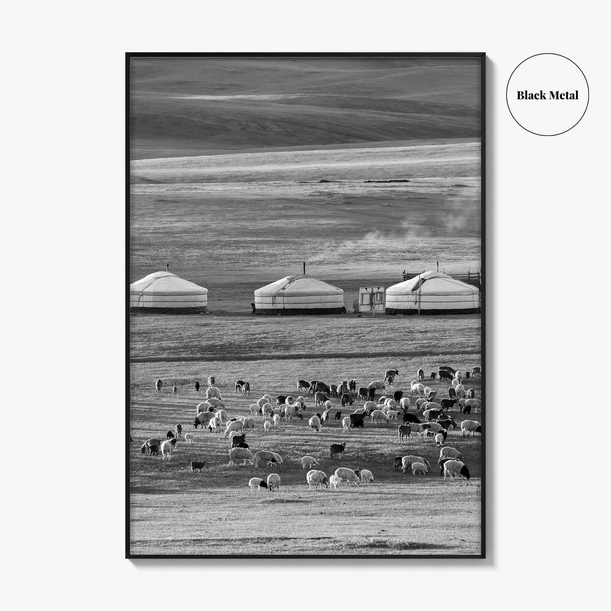 Mongolia Black and White Fine Art Photo Print, Ger Yurt, Goat Herd, Steppe Poster