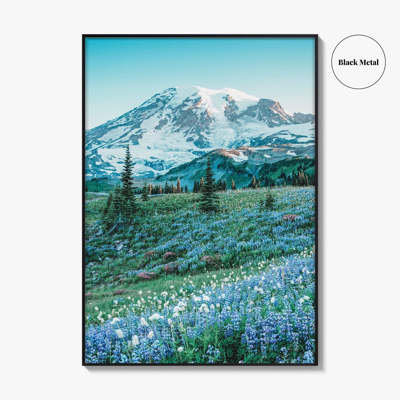 Mount Rainier National Park Fine Art Photo Print, Washington State, Mazama Ridge, Wildflowers