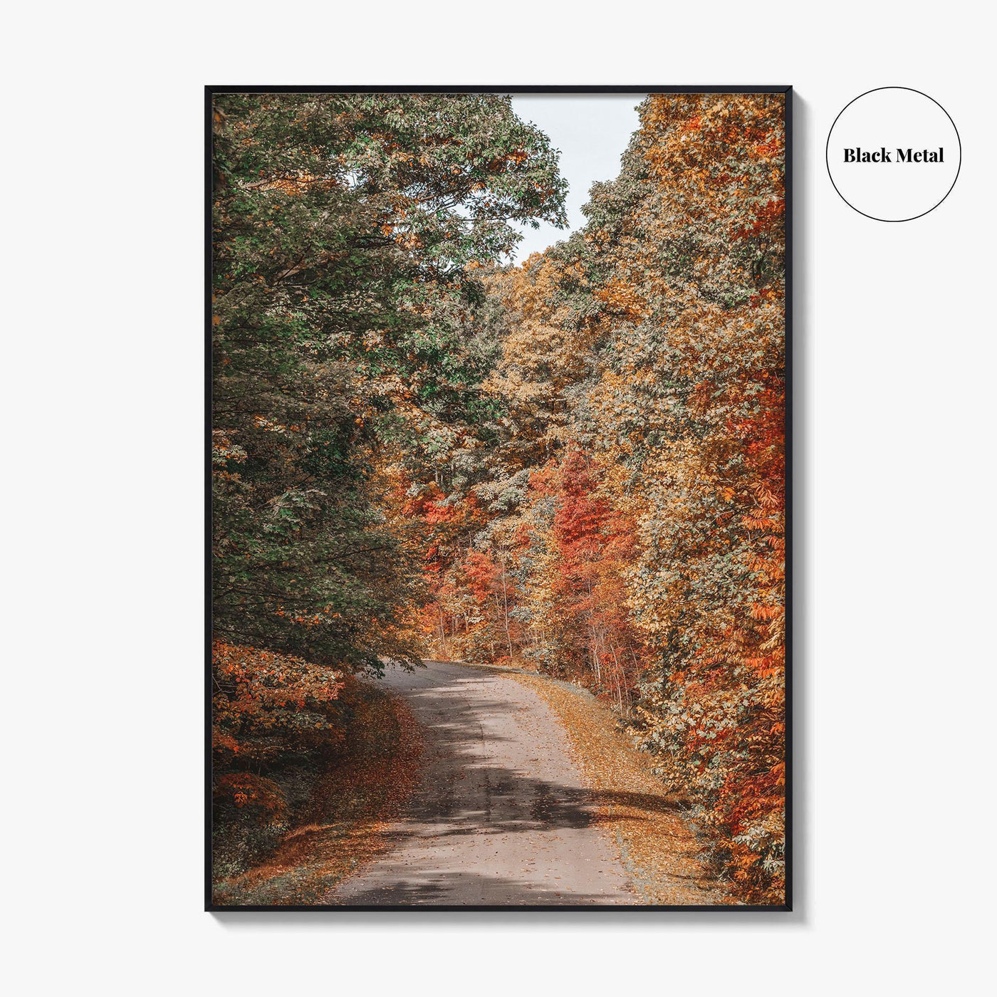 Morgantown Fine Art Photo Print, Coopers Rock State Park, Cheat Lake, WV Poster