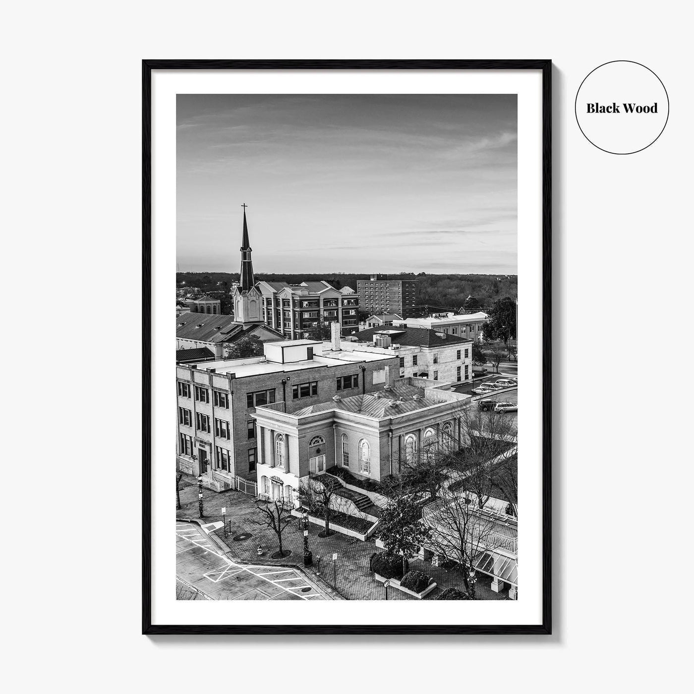 Athens Georgia Skyline Black and White Fine Art Photo Print, GA USA Poster