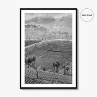 Munnar Black and White Fine Art Photo Print, Kerala India Tea Plantations Wall Poster