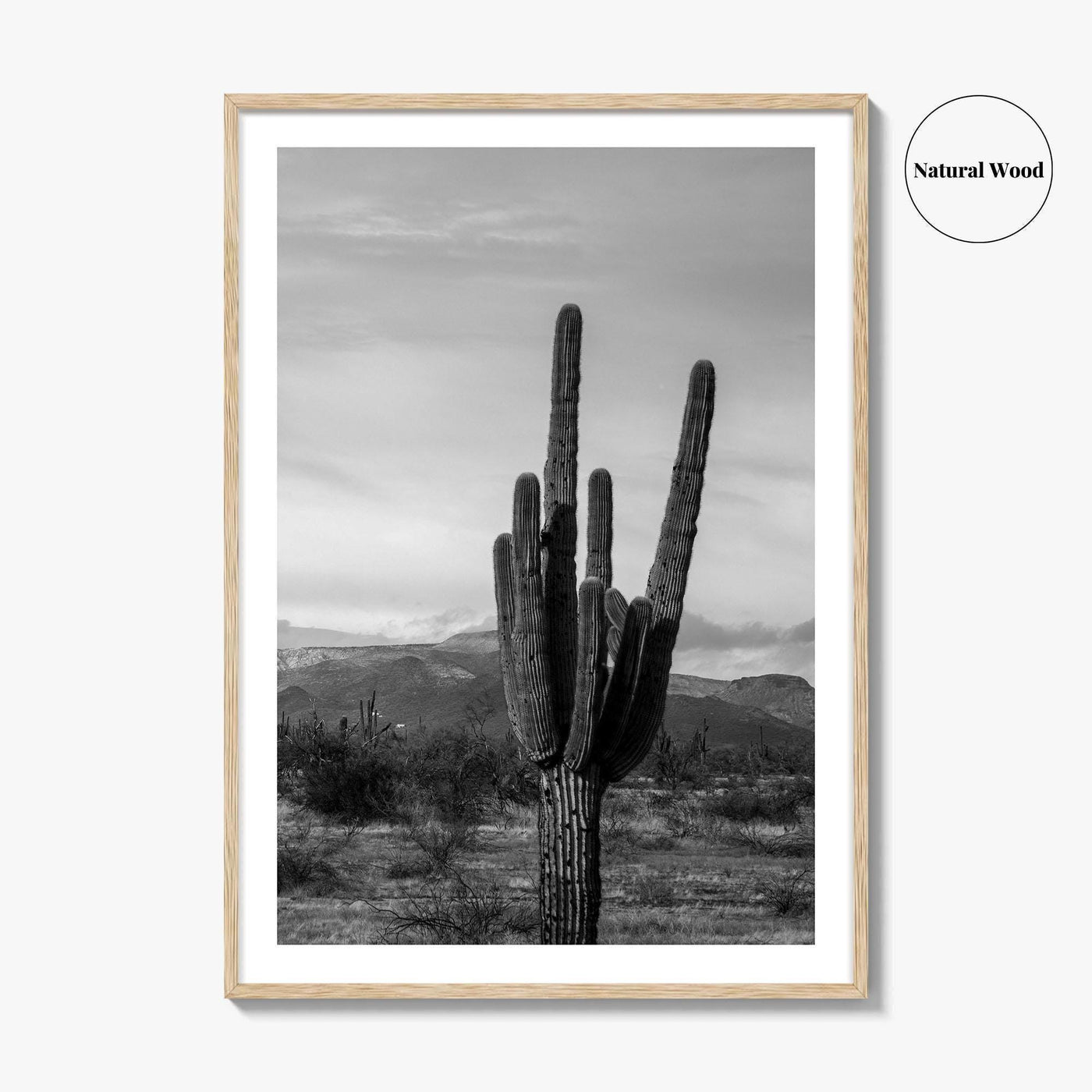 Phoenix Black and White Fine Art Photo Print, Arizona Saguaro Cactus Mountains, USA Poster