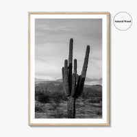 Phoenix Black and White Fine Art Photo Print, Arizona Saguaro Cactus Mountains, USA Poster