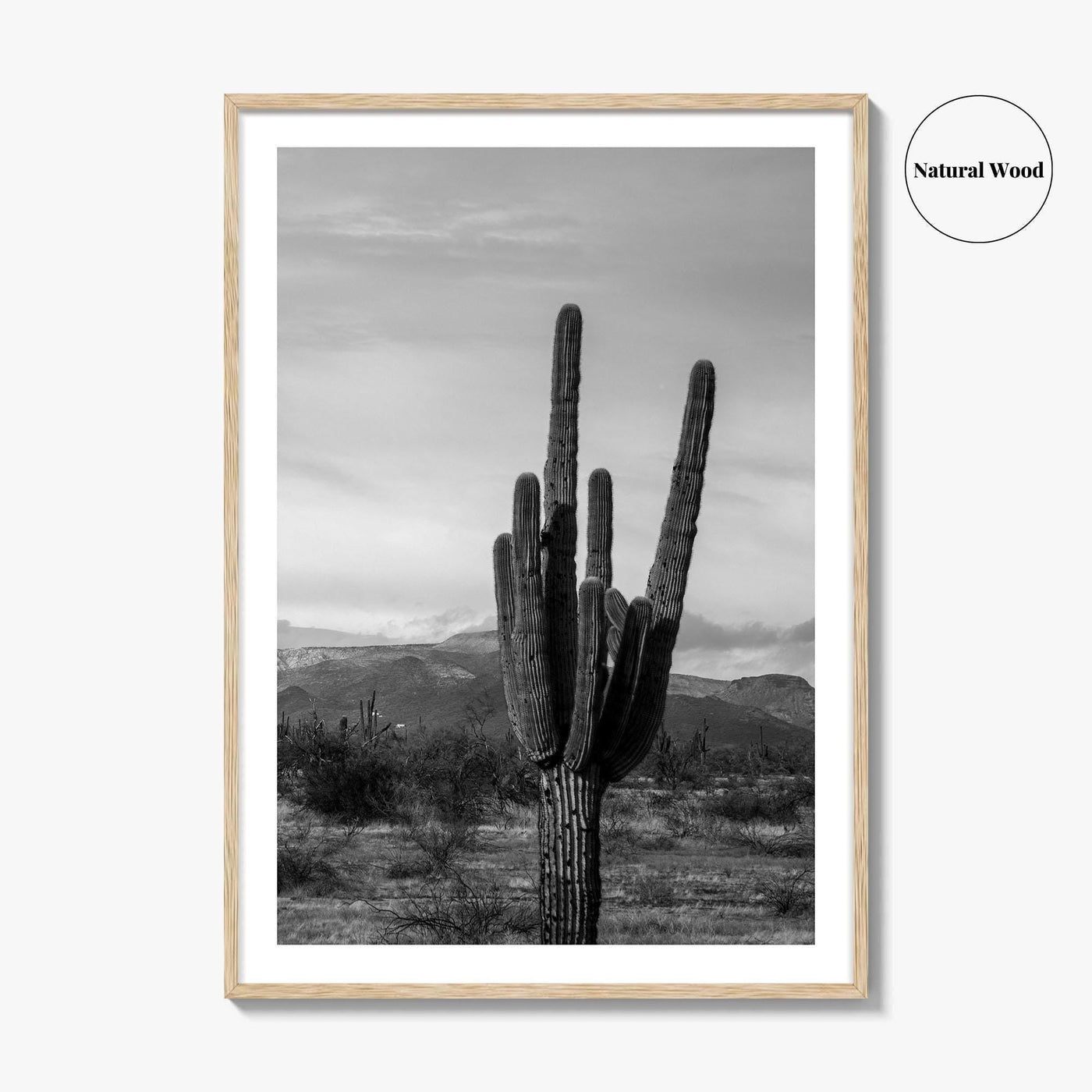 Phoenix Black and White Fine Art Photo Print, Arizona Saguaro Cactus Mountains, USA Poster