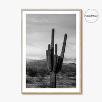 Phoenix Black and White Fine Art Photo Print, Arizona Saguaro Cactus Mountains, USA Poster