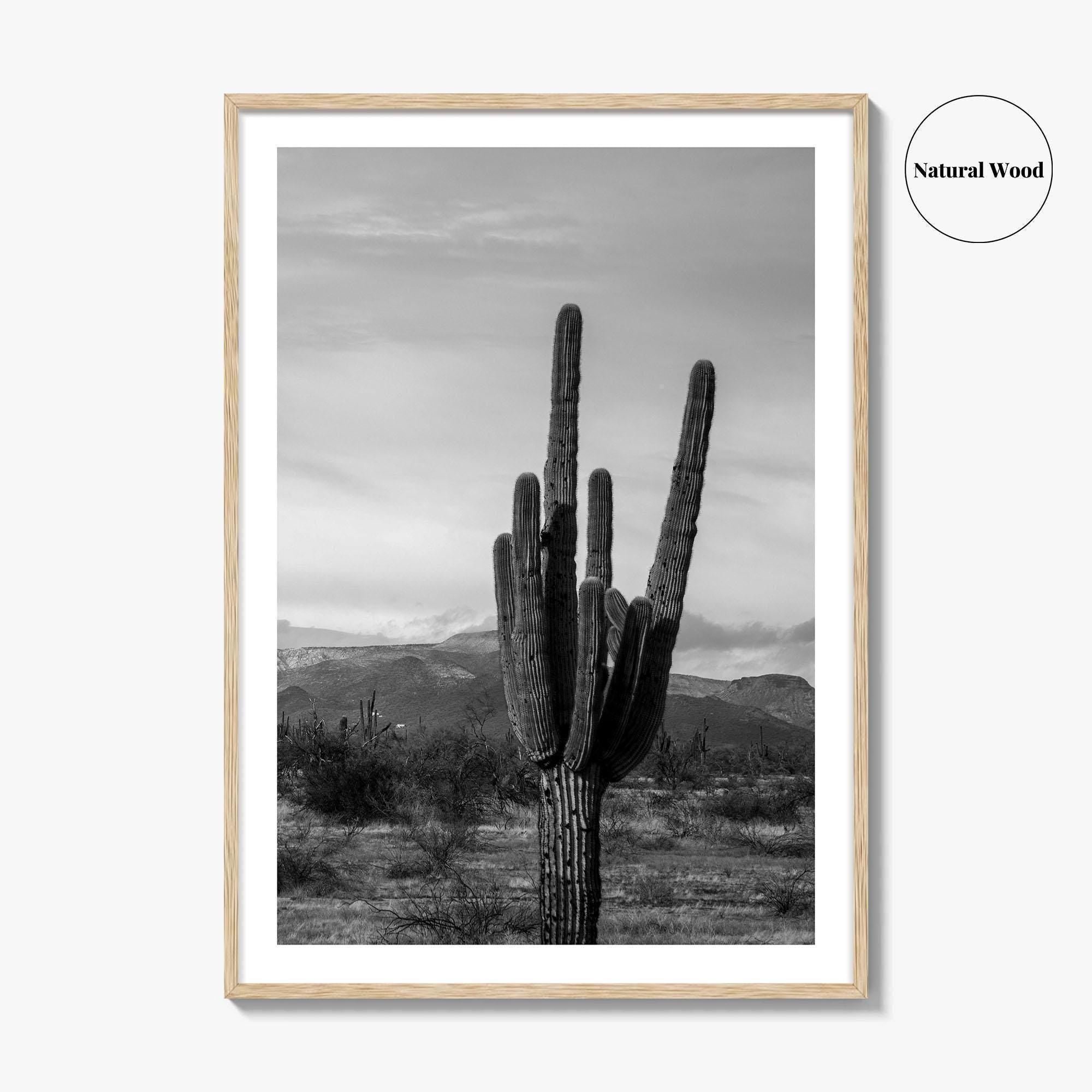 Phoenix Black and White Fine Art Photo Print, Arizona Saguaro Cactus Mountains, USA Poster