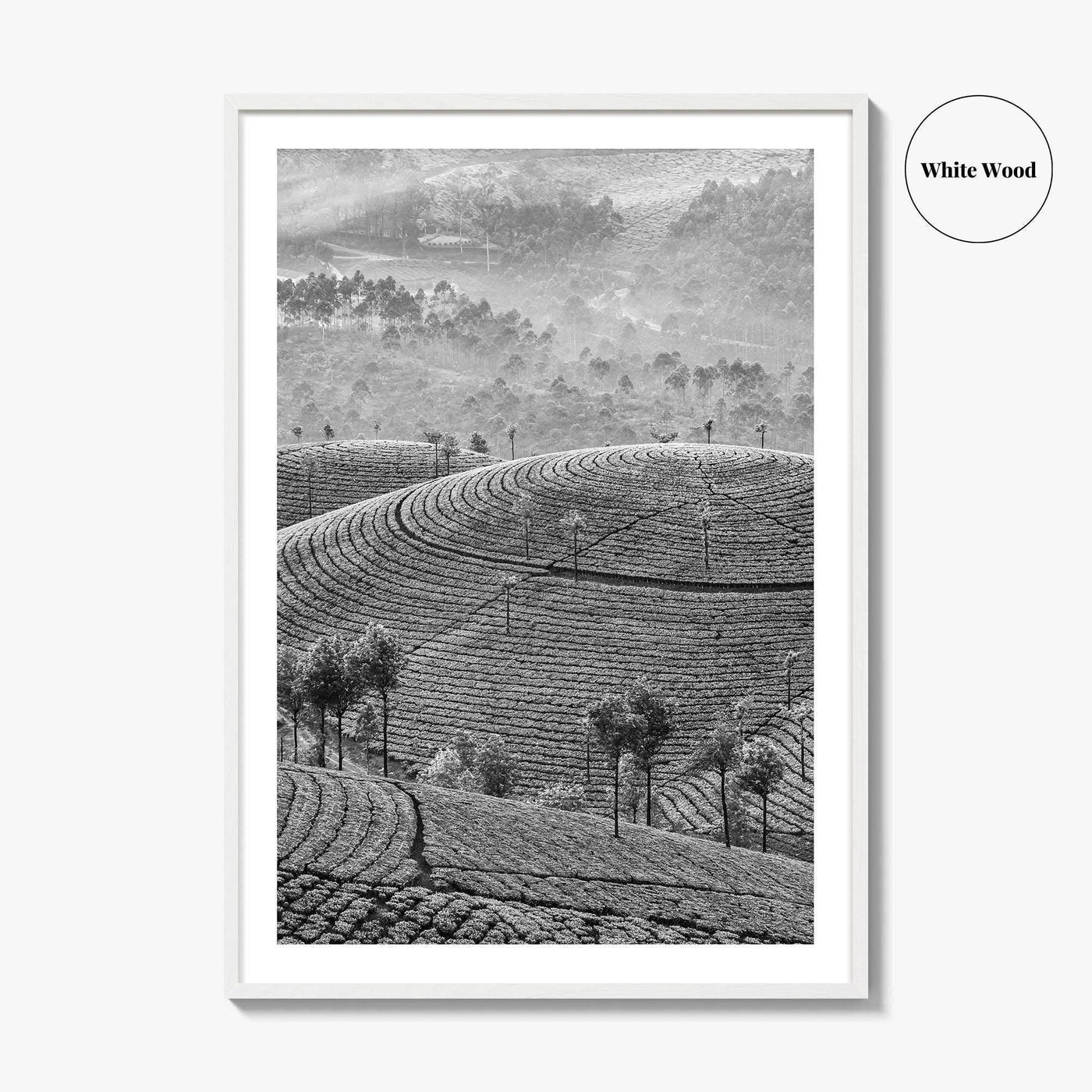 Munnar Black and White Fine Art Photo Print, Kerala India Tea Plantations Wall Poster