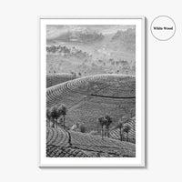 Munnar Black and White Fine Art Photo Print, Kerala India Tea Plantations Wall Poster