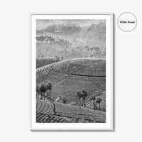 Munnar Black and White Fine Art Photo Print, Kerala India Tea Plantations Wall Poster