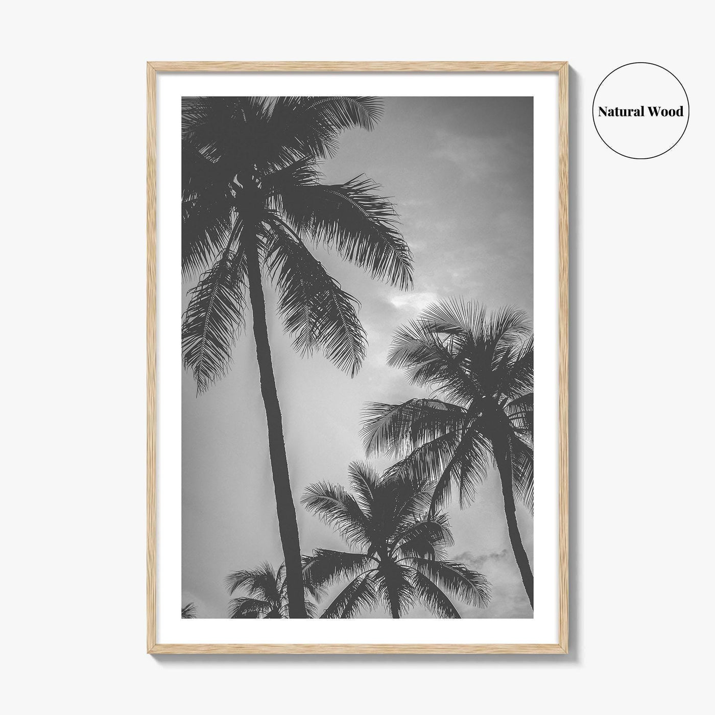 Hawaii Black and White Fine Art Photo Print, Palm Trees, Honolulu Oahu Art