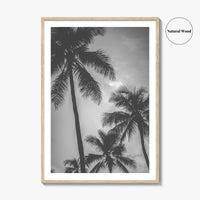 Hawaii Black and White Fine Art Photo Print, Palm Trees, Honolulu Oahu Art