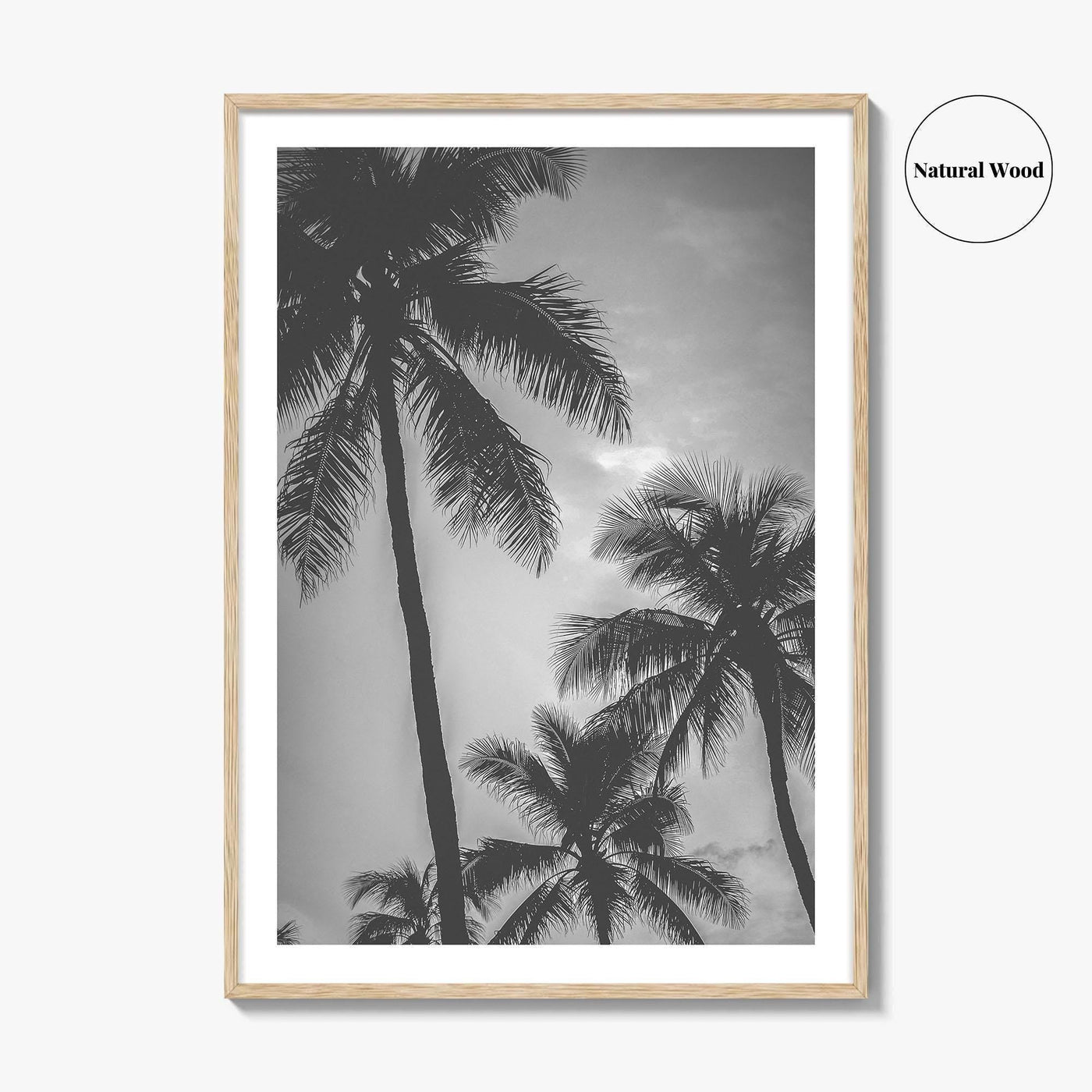 Hawaii Black and White Fine Art Photo Print, Palm Trees, Honolulu Oahu Art