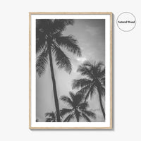 Hawaii Black and White Fine Art Photo Print, Palm Trees, Honolulu Oahu Art