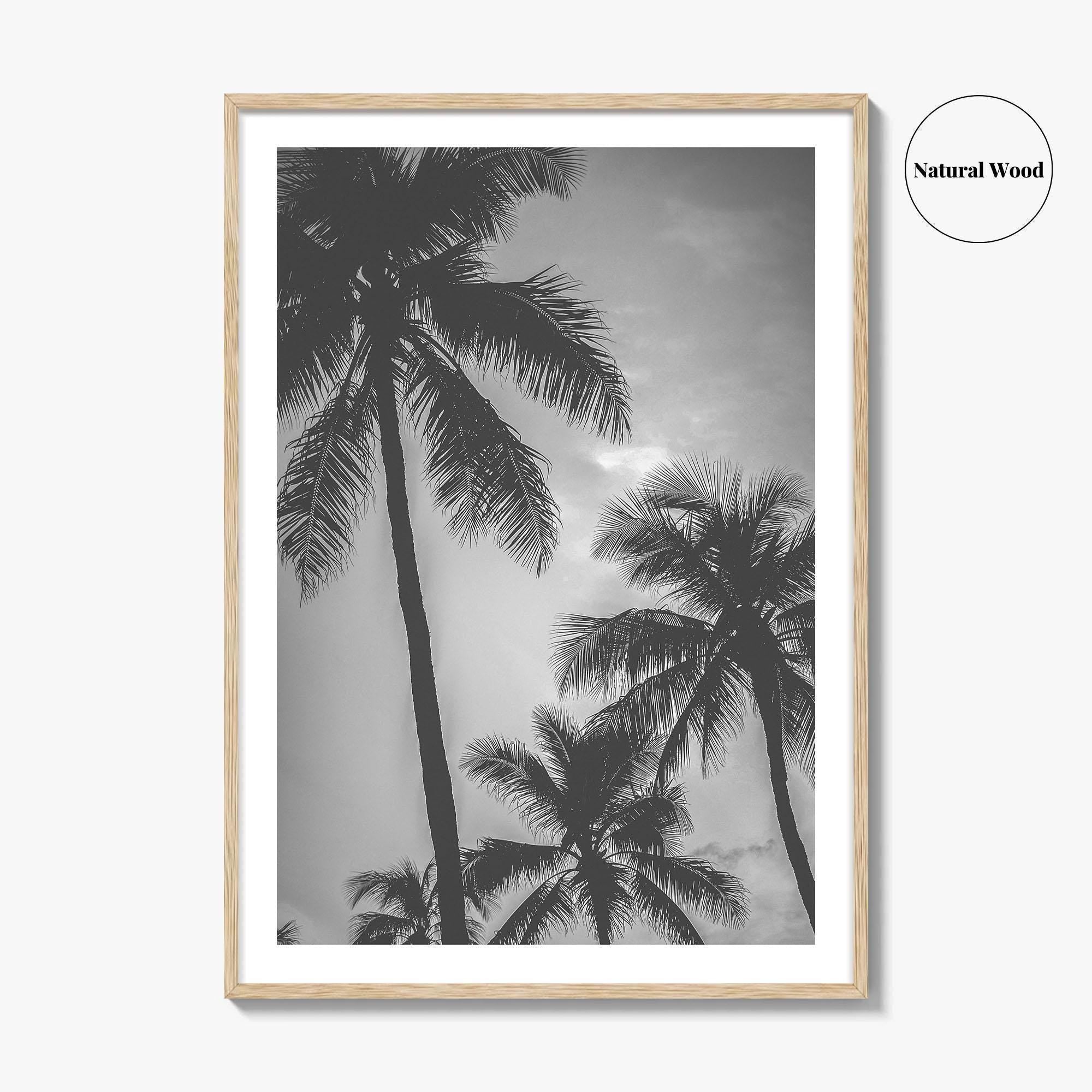 Hawaii Black and White Fine Art Photo Print, Palm Trees, Honolulu Oahu Art