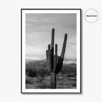Phoenix Black and White Fine Art Photo Print, Arizona Saguaro Cactus Mountains, USA Poster
