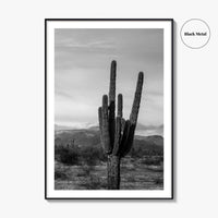 Phoenix Black and White Fine Art Photo Print, Arizona Saguaro Cactus Mountains, USA Poster