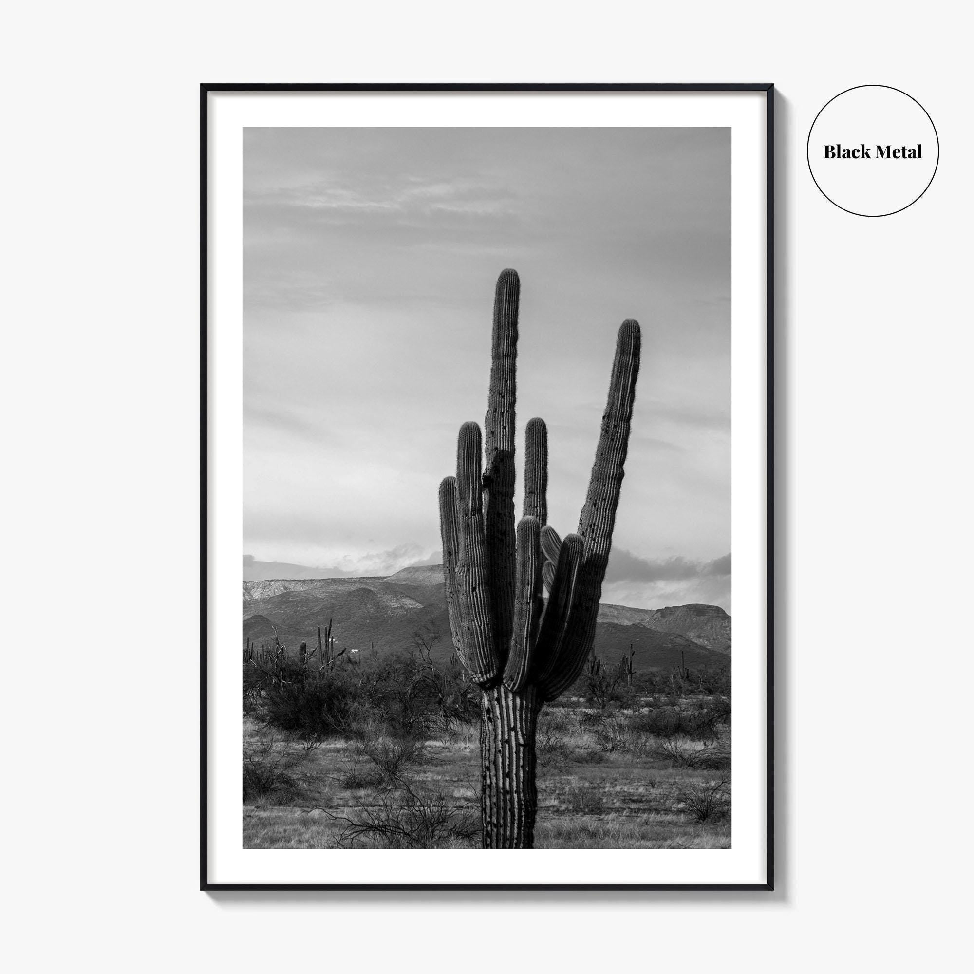 Phoenix Black and White Fine Art Photo Print, Arizona Saguaro Cactus Mountains, USA Poster