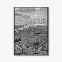 Munnar Black and White Fine Art Photo Print, Kerala India Tea Plantations Wall Poster