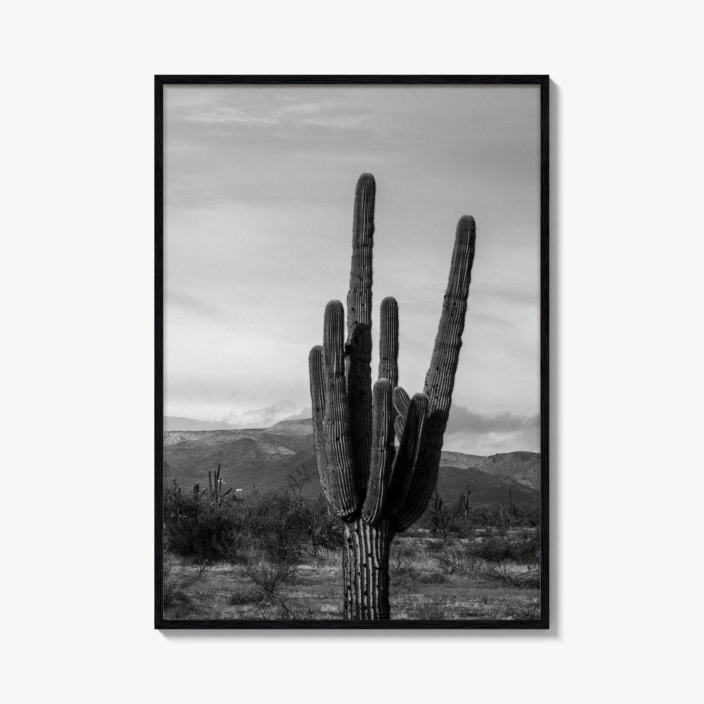 Phoenix Black and White Fine Art Photo Print, Arizona Saguaro Cactus Mountains, USA Poster