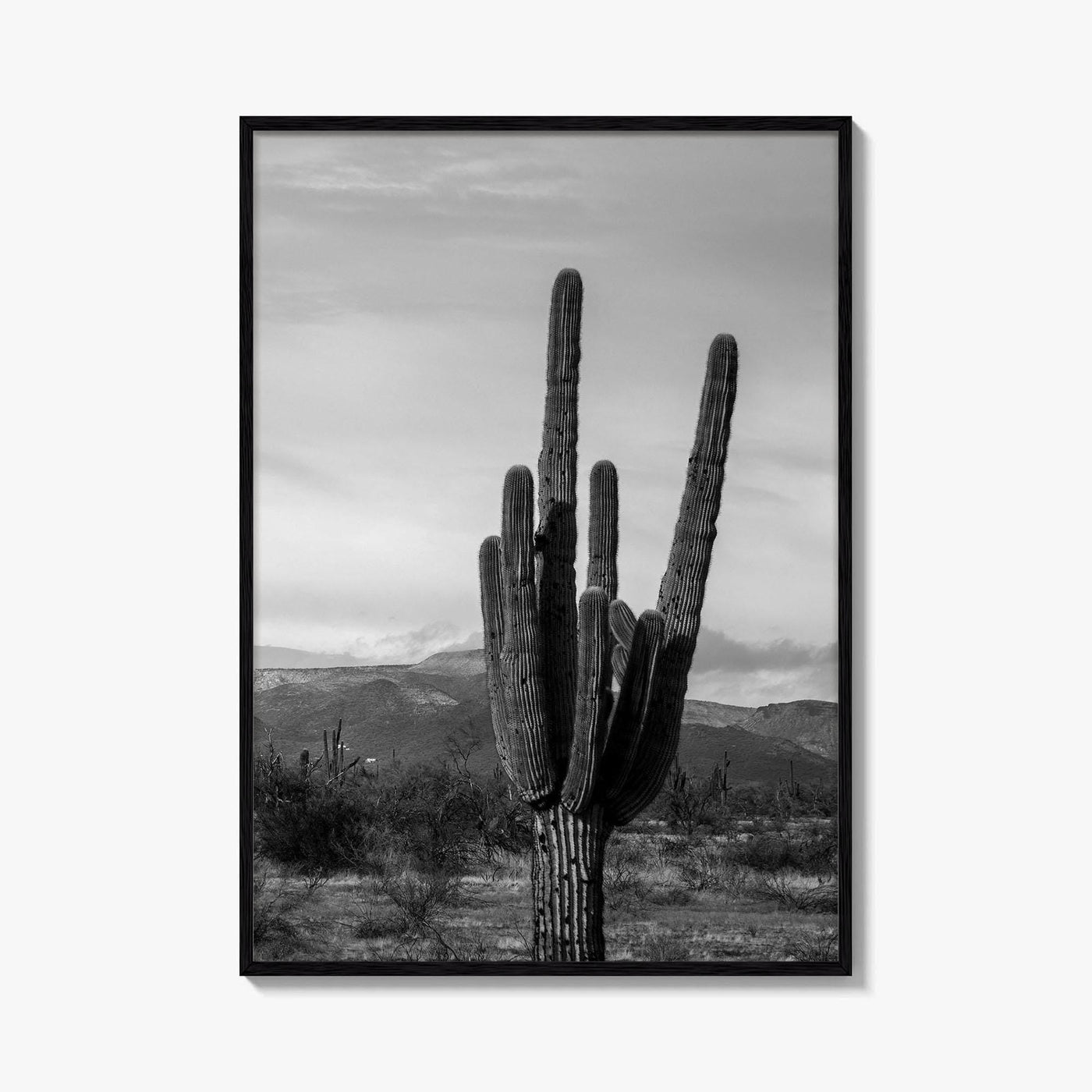 Phoenix Black and White Fine Art Photo Print, Arizona Saguaro Cactus Mountains, USA Poster